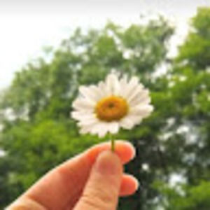 Meet your Posher, Heidi